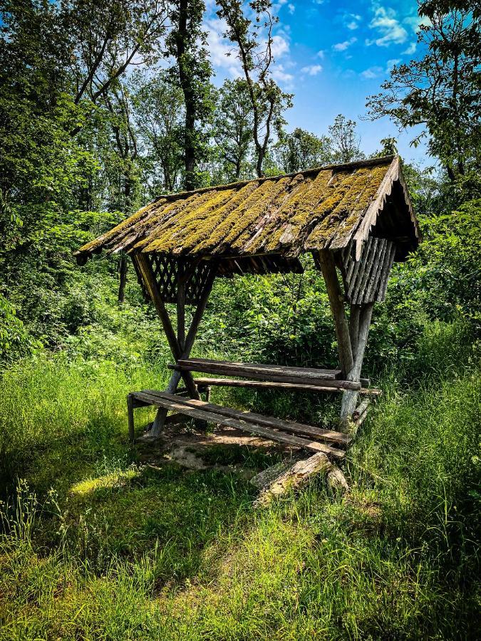 Gästehaus An der Berbke Arnsberg Exterior foto